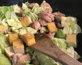 旬な春キャベツで鶏肉と厚揚げの煮物作り方5写真