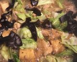 旬な春キャベツで鶏肉と厚揚げの煮物作り方6写真