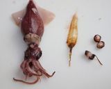簡単絶品！ホタルイカの炊き込みご飯作り方2写真