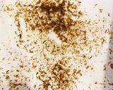 圧力鍋で簡単♡食物繊維豊富♡蓮芋筍の煮物作り方6写真