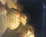 まるでお店の味♥ いちごのシュークリーム作り方8写真