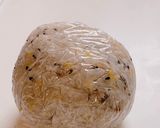 茶色のまりも？雑穀のばくだんおにぎり作り方4写真