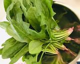 シャッキリ簡単ほうれん草のお浸し作り方1写真