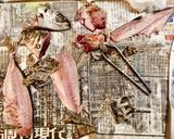 豆苗クルクル〆鯵巻き٩( ᐛ )و☆作り方1写真