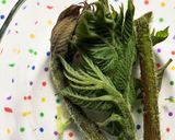 豚肉とウドの金平作り方1写真