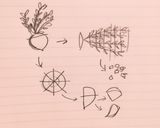 かぶのコンソメスープ作り方1写真