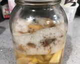 元気なりんご酵母作り方5写真
