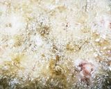 お年寄り絶讚シリーズ❗唐揚げ(豚肉)❗作り方7写真