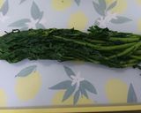 簡単！春菊とシーチキンの和え物作り方5写真