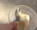材料２つだけ！超簡単★甘酒豆乳アイス作り方9写真