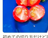 いろいろ使える！ミニトマトの蝶切り作り方6写真