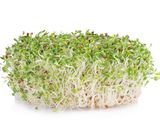 カツオが苦手な人もおいしく食べれる方法♪作り方4写真