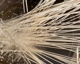 和風アボカドサラダ麺作り方1写真