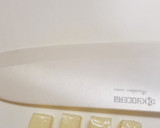余った餃子の皮で簡単おつまみ！作り方1写真