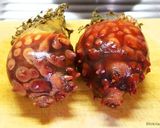 自家製ホヤの塩辛★珍味！作り方1写真