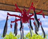 いわしの丸干し作り方4写真