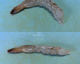 ＊枝豆ピラフのチーズインエビフライ＊作り方2写真