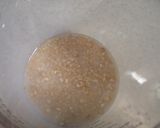 発芽玄米酒粕で元種作り作り方2写真