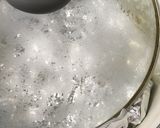 ★イカの煮付け作り方6写真
