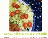いろいろ使える！ミニトマトの蝶切り作り方7写真