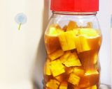 勝手に美味しくなって腸活も！美髪パイン酢作り方4写真
