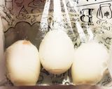 白身もふんわり「塩茹でたまご」作り方5写真