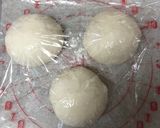 ノンオイル蜂蜜食パン(自家製酵母)作り方7写真