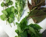 山菜のカラット天ぷら作り方1写真