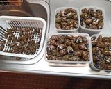 バイ貝を茹でたの。作り方6写真