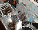 バイ貝を茹でたの。作り方7写真