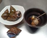 バイ貝を茹でたの。作り方10写真