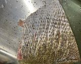 いさきのソテー　白ワインソースがけ作り方2写真