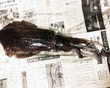 アオリイカのゲソでイカ大根作り方1写真