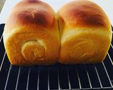 ふっくらモチモチ天然酵母食パン作り方12写真