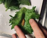 大葉と梅とちくわ作り方5写真