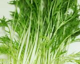 野菜が長持ち新鮮♪冷蔵庫で出来る保存方法作り方5写真