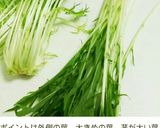 ひじきと豆腐のきんぴらサラダ＊シソ風味作り方12写真