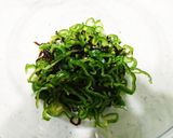 切るだけ☆絶品☆ピーマンと昆布のサラダ♪作り方5写真