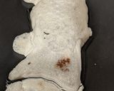お餅でたい焼きクン！作り方3写真