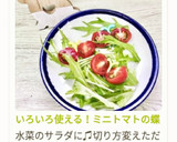 いろいろ使える！ミニトマトの蝶切り作り方11写真