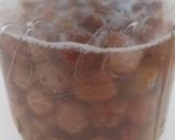 レーズンからレーズン酵母エキスをつくる作り方4写真