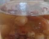 レーズンからレーズン酵母エキスをつくる作り方2写真