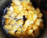 ゴロゴロ果肉の林檎蜂蜜コンポート作り方2写真