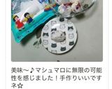 キャンディレアチーズケーキ改良版作り方5写真