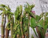イタドリとマタタビの芽など油炒め作り方1写真