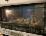 カルピスでパン作り方10写真