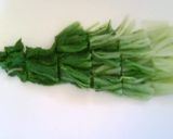 山東菜のお浸し作り方1写真