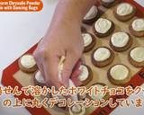 虫が踊る粉末蚕(さなぎ)クッキー作り方14写真