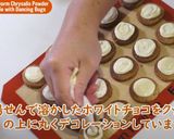虫が踊る粉末蚕(さなぎ)クッキー作り方14写真