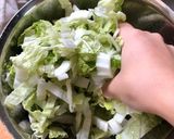 梅酢でさっぱり白菜サラダ作り方3写真